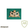 ARVN - Ranger Qualification Badge