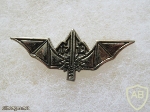 Unidentified badge- 69 img64017