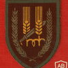 חטיבת הנגב פלמ"ח - חטיבה- 12
