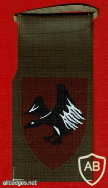 חטיבת הצנחנים ( מילואים ) חטיבה- 226 "עוצבת הנשר" או "הנשר השחור" img64075