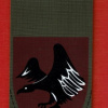 Paratroopers Brigade ( Reserve ) Brigade- 226 "Eagle Design" or "Black Eagle"