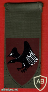 Paratroopers Brigade ( Reserve ) Brigade- 226 "Eagle Design" or "Black Eagle" img64076