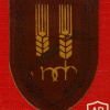 Negev Palmach Brigade - 12th Brigade img64082