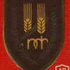 חטיבת הנגב פלמ"ח - חטיבה- 12