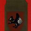 Paratroopers Brigade ( Reserve ) Brigade- 226 "Eagle Design" or "Black Eagle" img64077