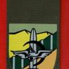 Karkal Battalion