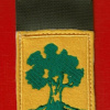 Golani Brigade - 1st Brigade