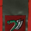 חטיבת הצנחנים - חטיבה- 35 img64193