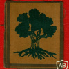 Golani Brigade - 1st Brigade img64166