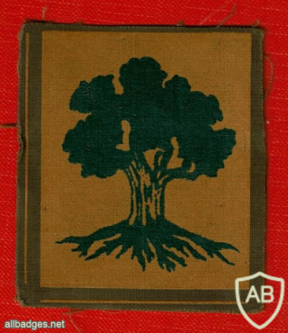 Golani Brigade - 1st Brigade img64166