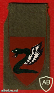 Paratroopers brigade - 35th / 202nd brigade img64179