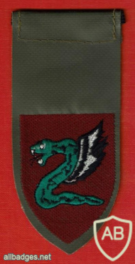 Paratroopers brigade - 35th / 202nd brigade img64186