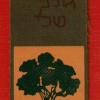 Golani Brigade - 1st Brigade img64165