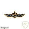 Unidentified badge- 7 - golden
