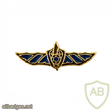 Unidentified badge- 7 - golden img64242