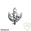 Unidentified badge- 5 img64253