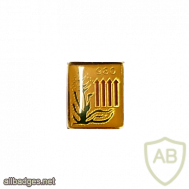 980th Battalion - Tel Nof img64255
