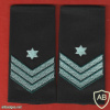 Chief warrant officer