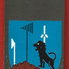 372nd Segev battalion