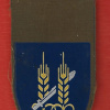 11th Brigade - Yiftach brigade img64575
