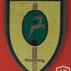 9th Oded brigade