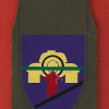 חטיבה- 265 - חטיבת הטירנים שלל T54 / 55 img64599