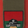 460th Brigade - Bnei or formation img64641
