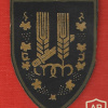 חטיבת הראל- חטיבה-  10 ת״פ גייסות השריון