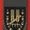 חטיבת הראל - חטיבה- 10