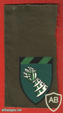 Iron boxing brigade - 514th Brigade ( 200th Brigade, 205th Brigade ) under the command of the armored forces img64773