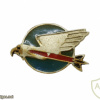 Northern Knights Squadron - 110th Squadron img64831