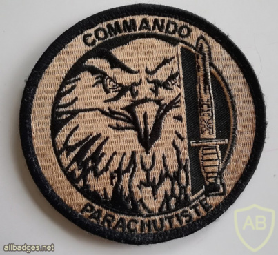 Belgium Army 2 bataillon commando - 12 company img64917