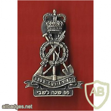 חיל החפרים בצבא הבריטי 80 שנה לנפילה בשבי הנאצי של כ 2000 מתנדבים ארצישראלים בעיקר מחיל החפרים בצבא הבריטי img64914