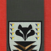 Divisional Logistics Southern Command
