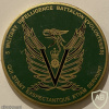 5 Military Intelligence Battalion (Volunteers)