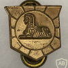 U.S. -  Army -  Military Intelligence Branch Collar Insignia (Officer) (Obsolete) img65218