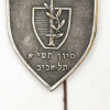 ארגון חברי ההגנה - ועידה ראשונה-1951