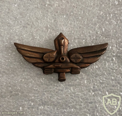 Auxiliary company warrior - Bronze ( "gardener" ) img65403