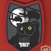 Generic icon Squadron- 124 UH60 Owl