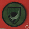 98th Paratroopers Division - Fire Formation