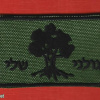 1st Golani Brigade img65590
