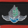 Coordinator of government operations in the territories