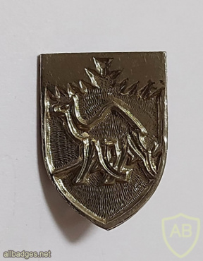 Arava Spatial Brigade - 406th Brigade img65699