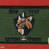 924th Battalion desert cats