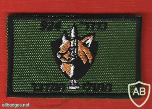 924th Battalion desert cats img65755