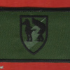 The "Foxes of Fire" division - 143rd division