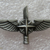 Unidentified badge- 5 img65826