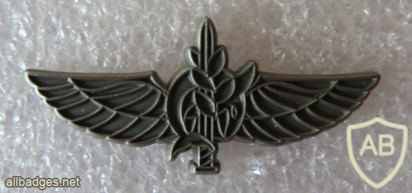 Unidentified badge- 10 img65854