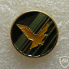 Golden Eagle Squadron - 140th Squadron img65855