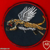 The Flying Tiger Squadron - 102nd Squadron